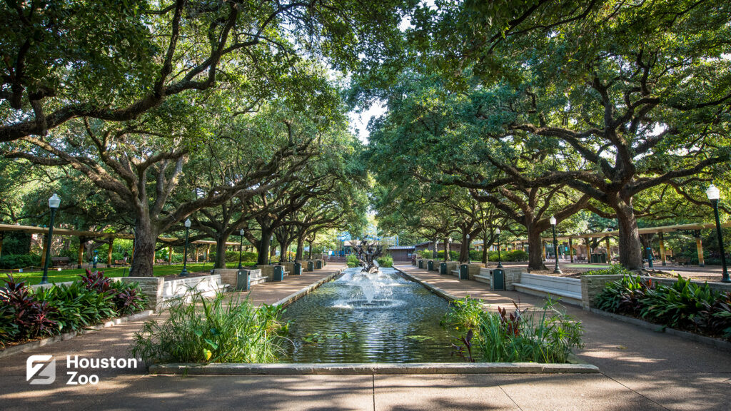 Reflection pond venue at The houston Zoo