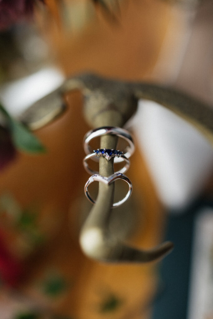 Close-up of wedding rings at Carr Mansion wedding venue.